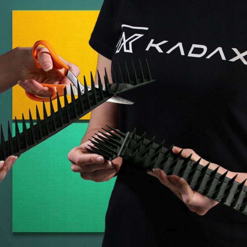 Odstraszacz Ptaków KADAX Kruk Gołębi + Kolce 6szt