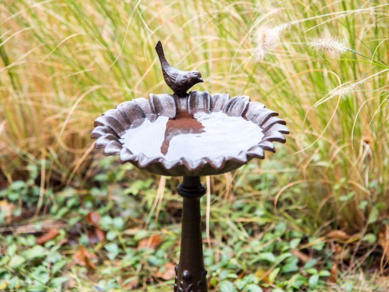 Ogrodowe poidełko dla ptaków brązowe Blackbird 1 szt.