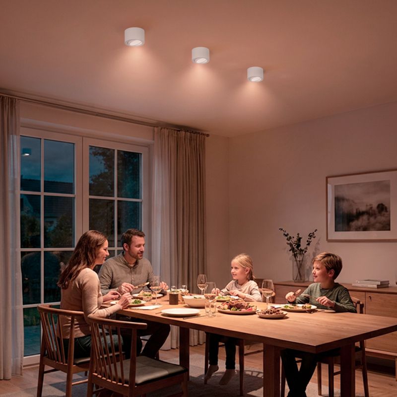 Oprawa Natynkowa Lumiled Halogenowa Spot Tuba Ruchoma Okrągła Biała 50mm 1 szt.