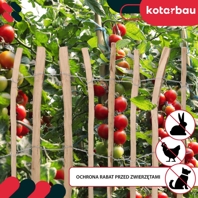 Płotek leszczynowy KOTARBAU 100 cm 1 szt.