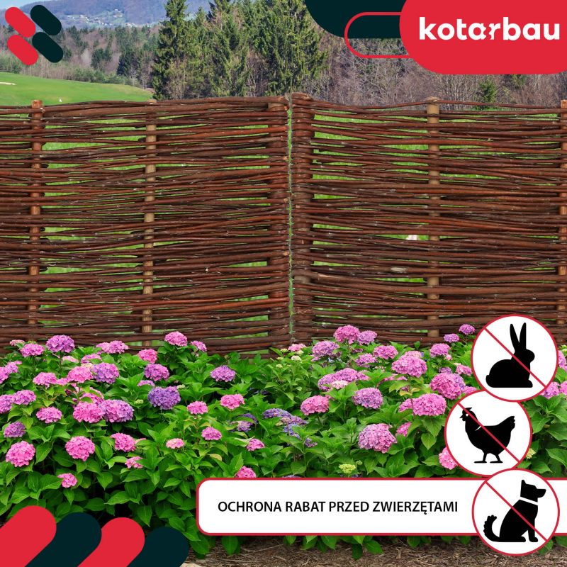 Płotek ogrodowy KOTARBAU wiklinowy 60x30 cm 5 szt.