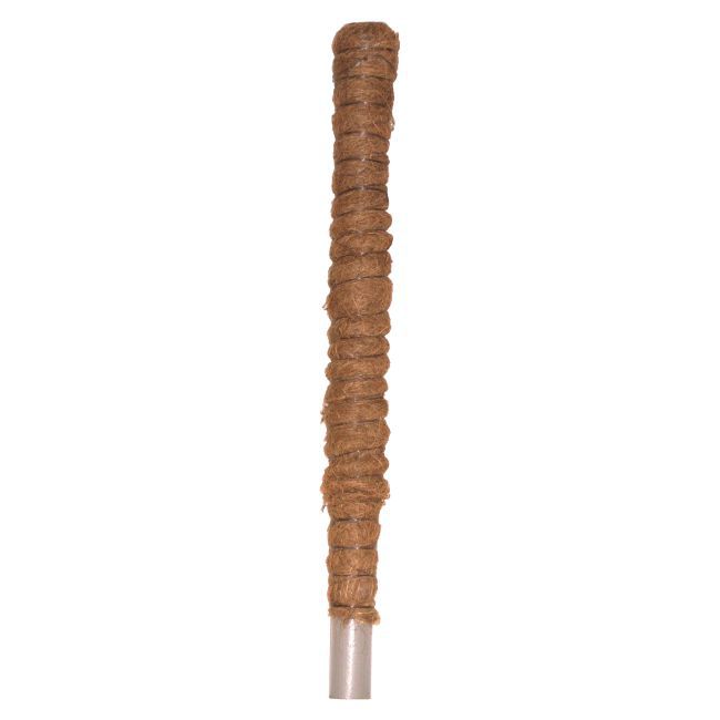 Paliki kokosowe wys. 50 cm