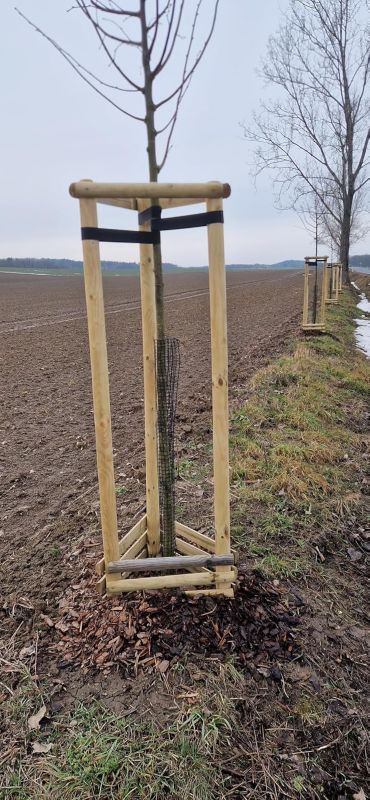 Palisada Drewniana Timbermik 200 cm Drewno Sosnowe 6 cm (4 szt.)