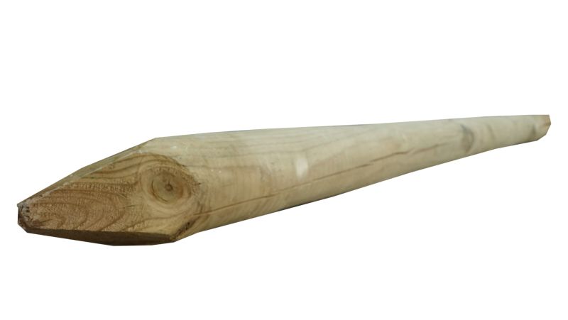 Palisada faza/szpic Roma 7x240 cm 1szt.