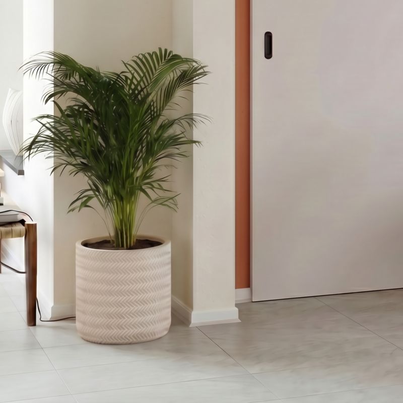 Palma Areca Verve 27 cm wys. 140 cm
