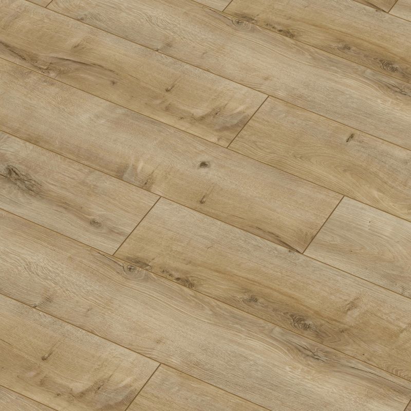 Panele podłogowe laminowane Trevo Dąb WR AC5 2,467 m2