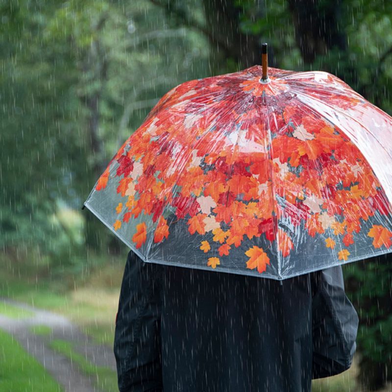 Parasol Esschert Design transparentny wzór liście 95x89cm 1 szt.