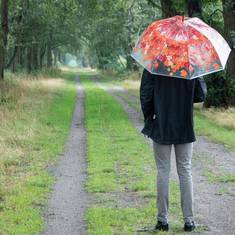 Parasol Esschert Design transparentny wzór liście 95x89cm 1 szt.