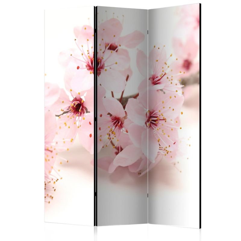 Parawan dwustronny Artgeist Kwiaty 135x172 cm Kwiaty 1 szt