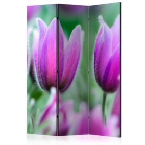Parawan dwustronny Artgeist Kwiaty 135x172 cm Kwiaty 1 szt