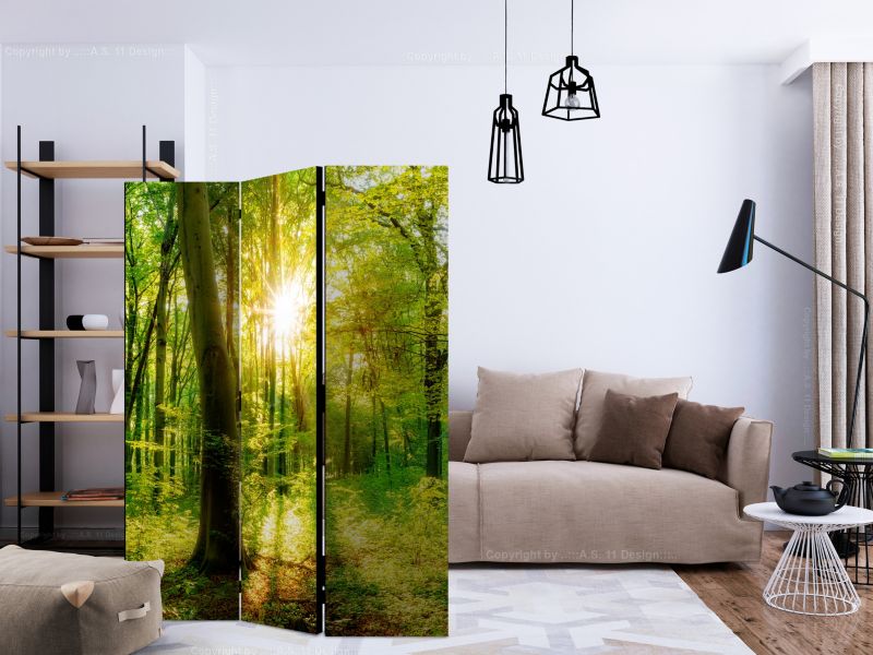 Parawan dwustronny Artgeist Pejzaże 135x172 cm Pejzaże 1 szt