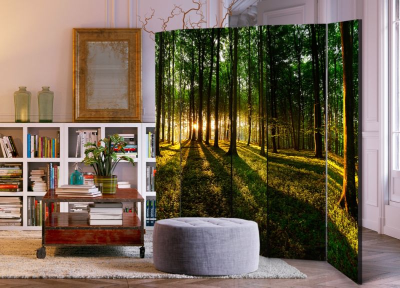 Parawan dwustronny Artgeist Pejzaże 225x172 cm Pejzaże 1 szt