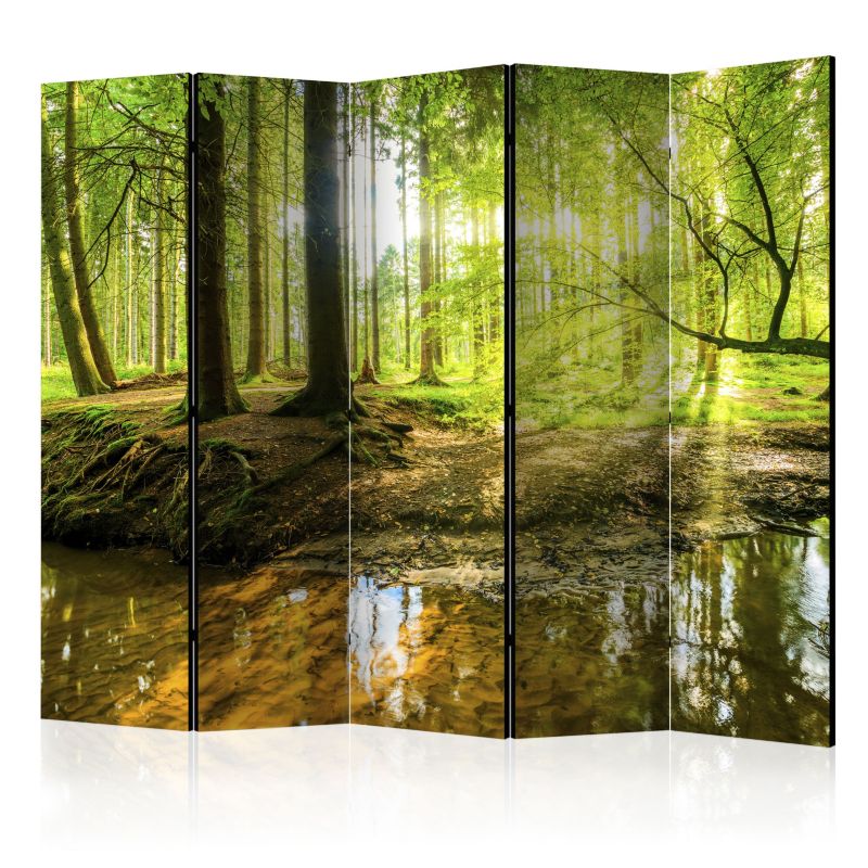 Parawan dwustronny Artgeist Pejzaże 225x172 cm Pejzaże 1 szt