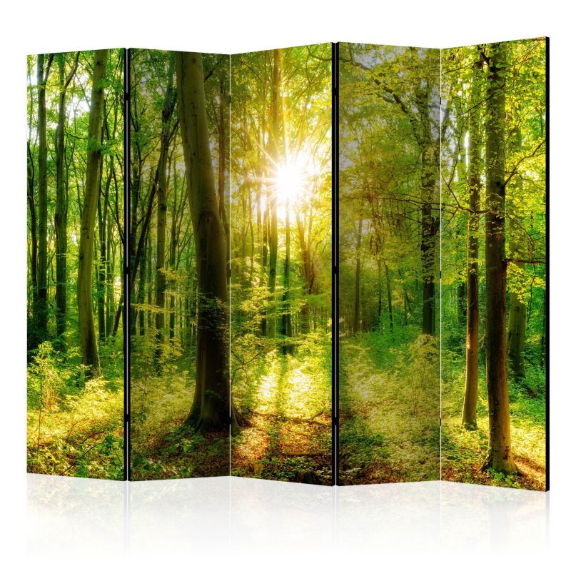 Parawan dwustronny Artgeist Pejzaże 225x172 cm Pejzaże 1 szt