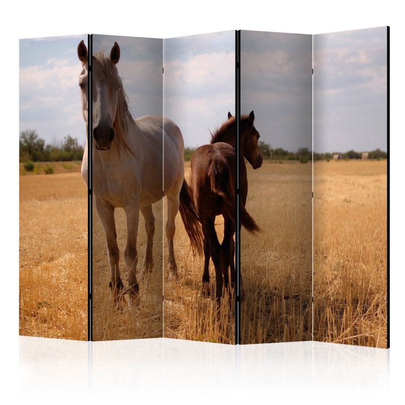 Parawan dwustronny Artgeist Zwierzęta 225x172 cm Zwierzęta 1 szt