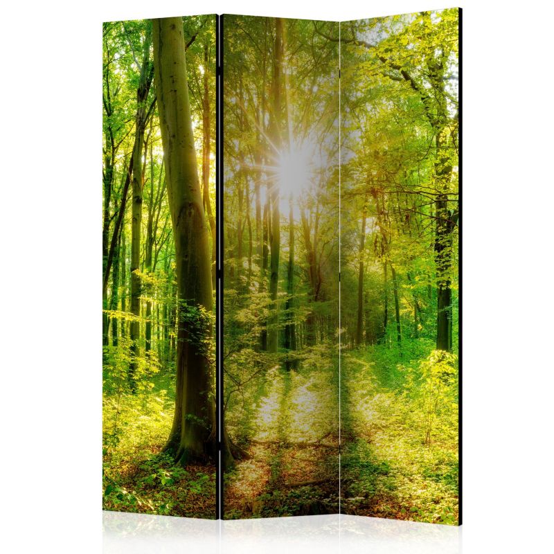 Parawan jednostronny Artgeist Pejzaże 135x172 cm Pejzaże 1 szt