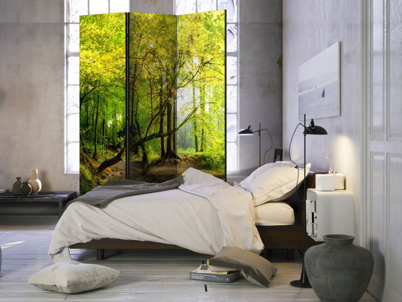 Parawan jednostronny Artgeist Pejzaże 135x172 cm Pejzaże 1 szt