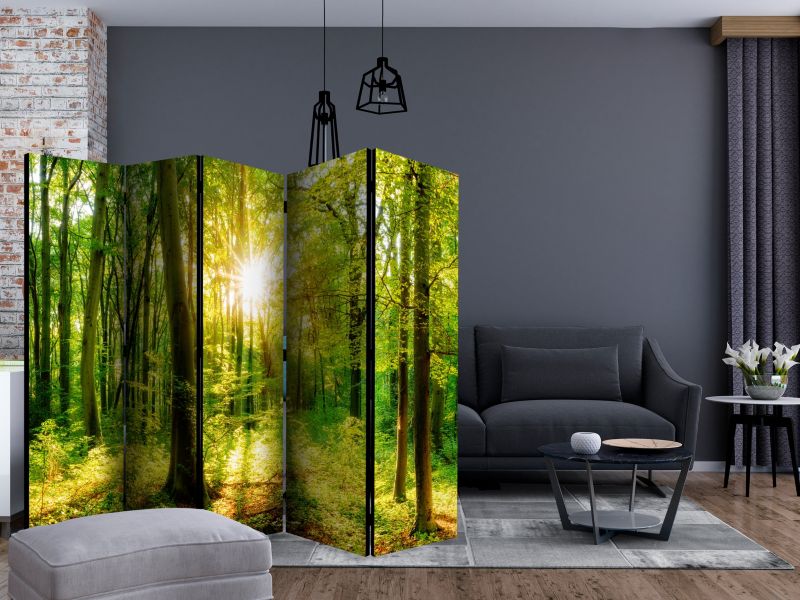 Parawan jednostronny Artgeist Pejzaże 225x172 cm Pejzaże 1 szt