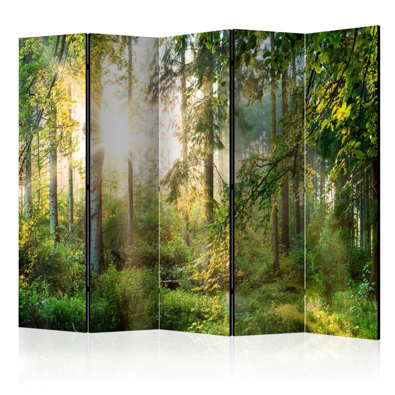 Parawan Muralo Dwustronny Las Natura Krajobraz Drzewa  225x172cm 1 szt.