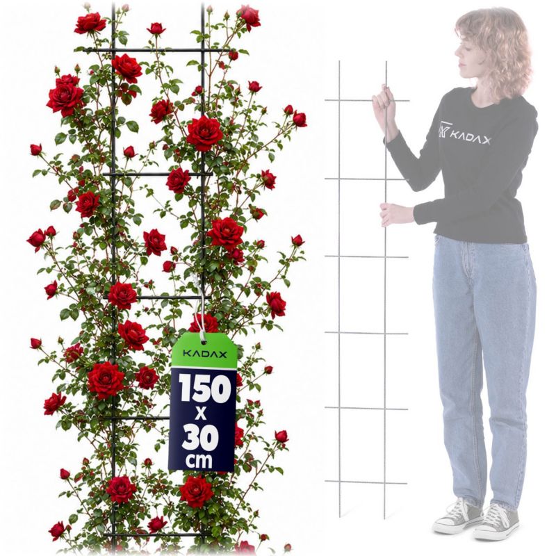 Pergola KADAX Krata Ogrodowa Do Roślin Pnących 30x150 1 szt.