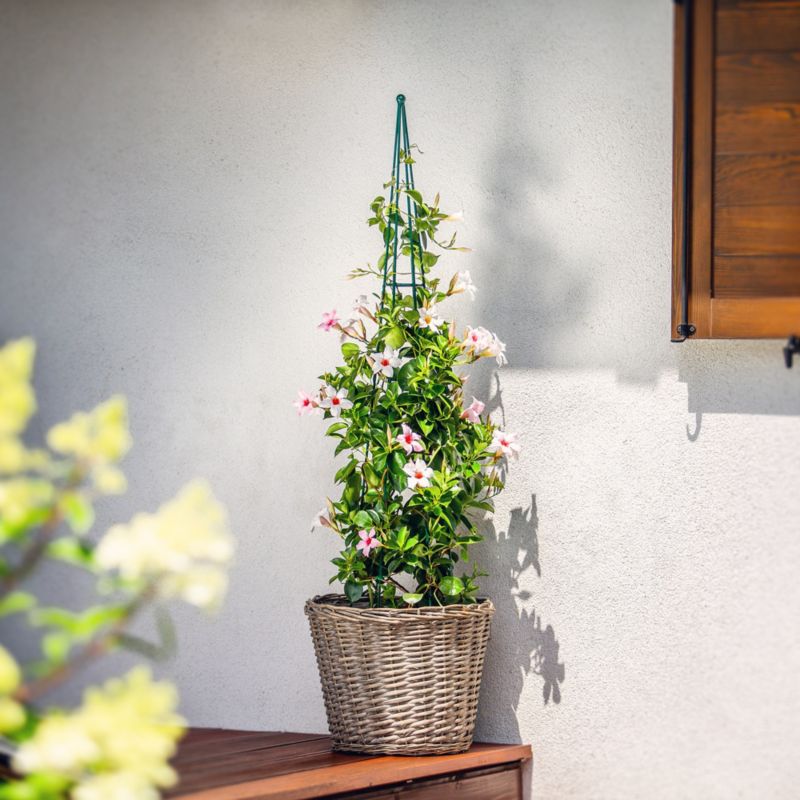 Pergola KADAX Podpora Do Roślin Stożek Ogrodowy Pnączy 120cm 1szt.
