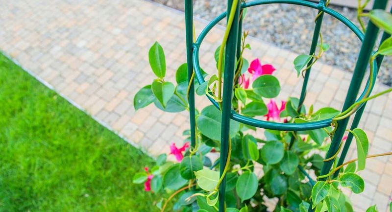 Pergola KADAX Podpora Do Roślin Stożek Ogrodowy Pnączy 120cm 1szt.