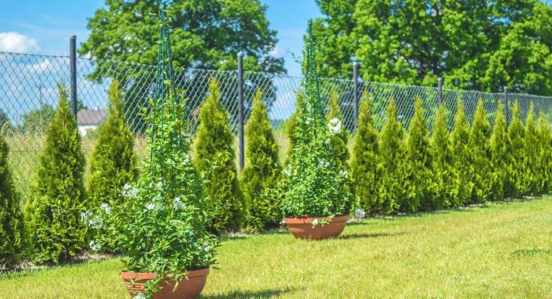Pergola KADAX Podpora Do Roślin Stożek Ogrodowy Pnączy 120cm 1szt.