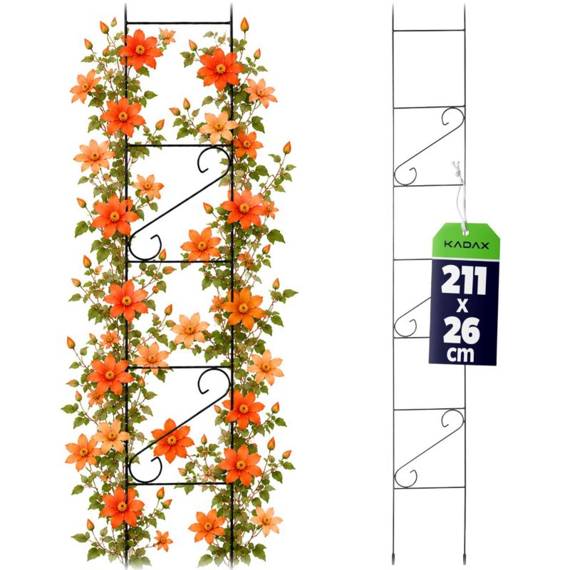 Pergola KADAX Podpora Drabina Ogrodowa Na Kwiaty 210cm 1 szt.