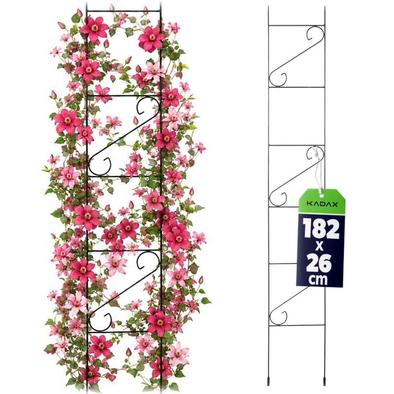 Pergola KADAX Podpora Ogrodowa Do Kwiatów metalowa Na Kwiaty Róże 180cm Drabinka 1 szt.