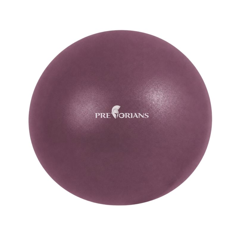 Piłka do pilatesu Pretorians mała piłka fitness 25 cm do ćwiczeń w domu bordowa 1 szt.
