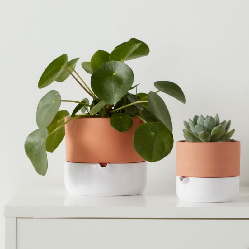 Pieniążek GoodHome 12 cm wys. 20 cm