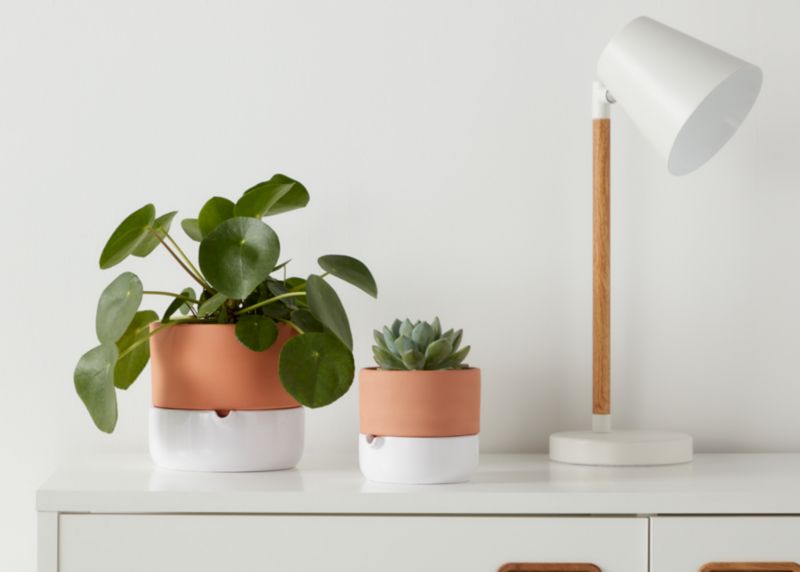 Pieniążek GoodHome 12 cm wys. 20 cm