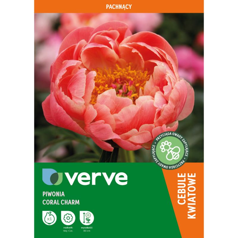 Piwonia Coral Charm 1 szt.