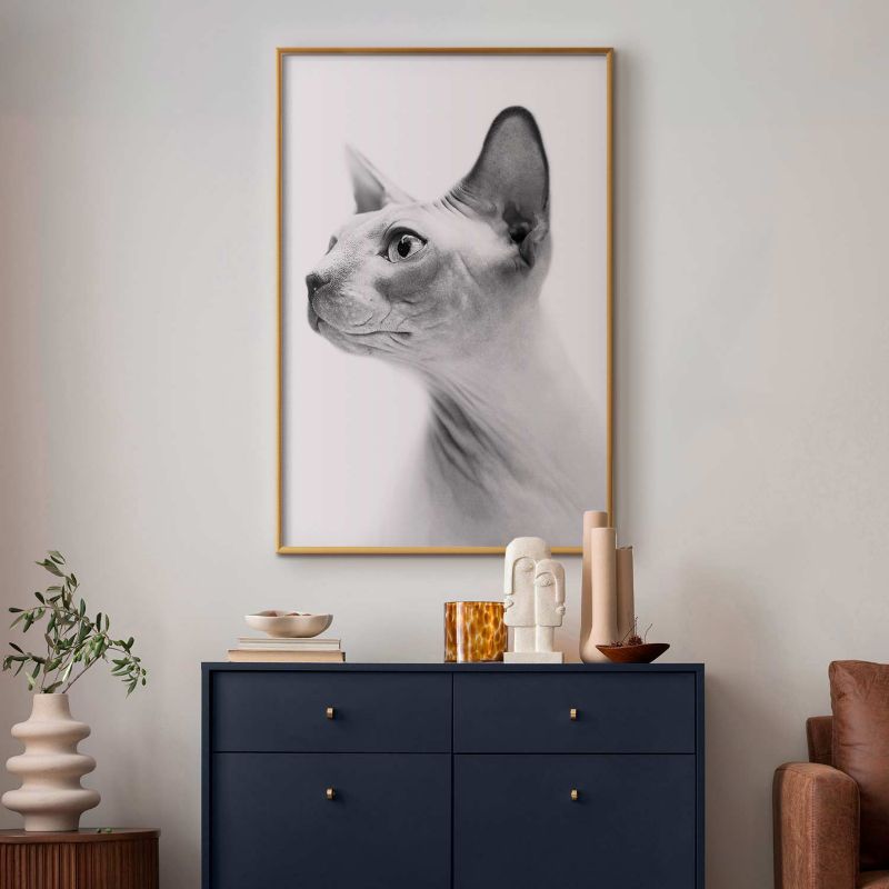 Plakat Artgeist bezwłosy kot 21x30 cm z ramą złotą 1 szt