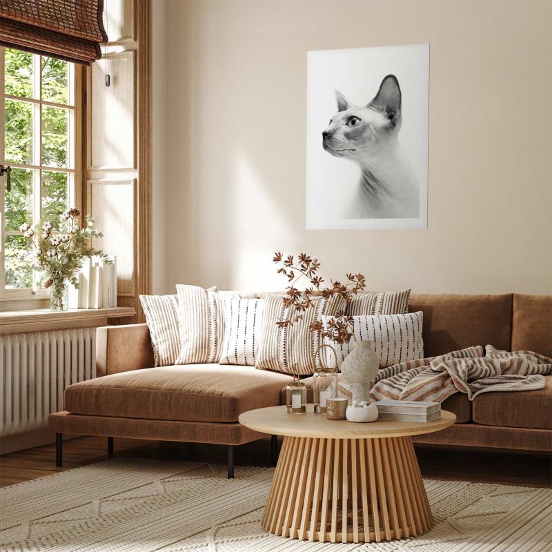 Plakat Artgeist bezwłosy kot 60x90 cm bez ramy 1 szt