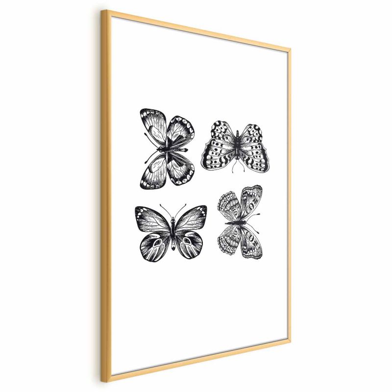 Plakat Artgeist Cztery motyle 60x90 cm z ramą złotą 1 szt