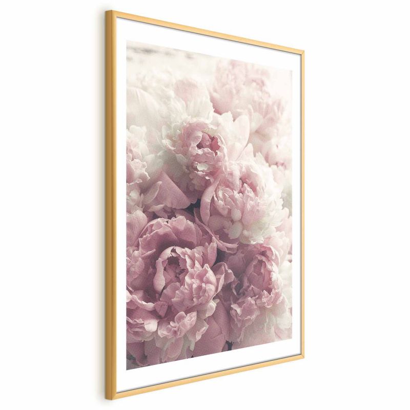 Plakat Artgeist Delikatne piwonie 40x60 cm z ramą złotą 1 szt