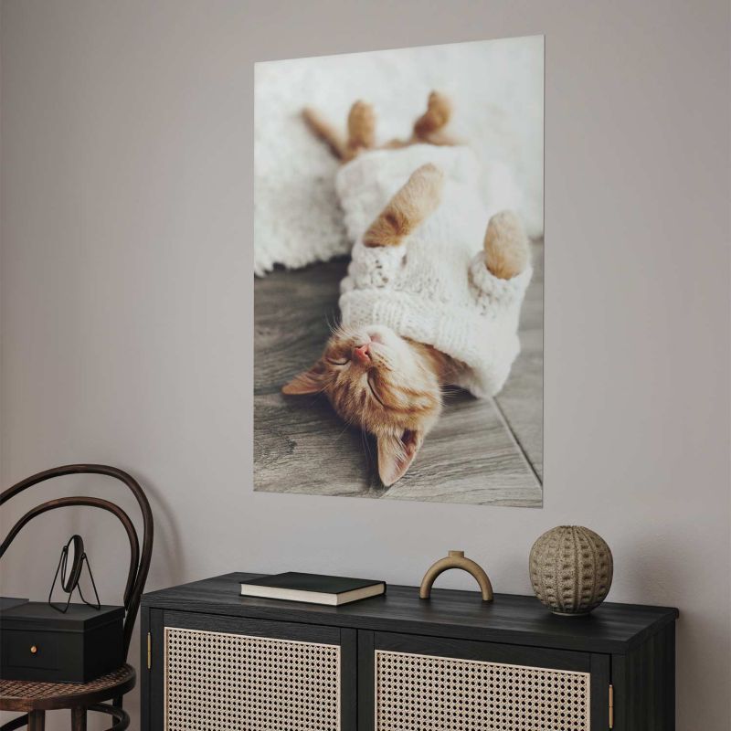 Plakat Artgeist Leniwy kot 21x30 cm bez ramy 1 szt