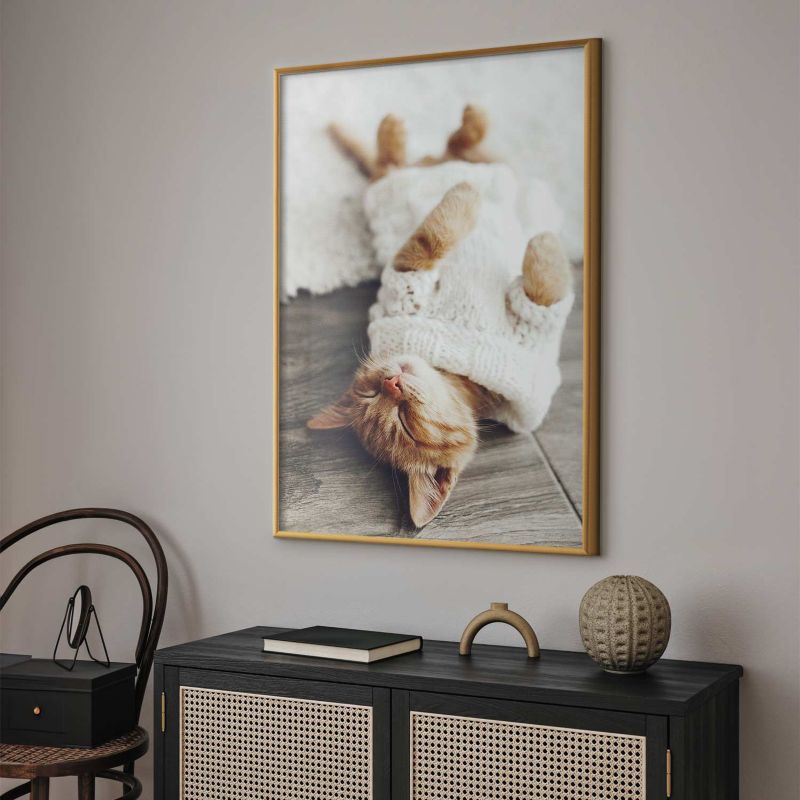 Plakat Artgeist Leniwy kot 40x60 cm z ramą złotą 1 szt