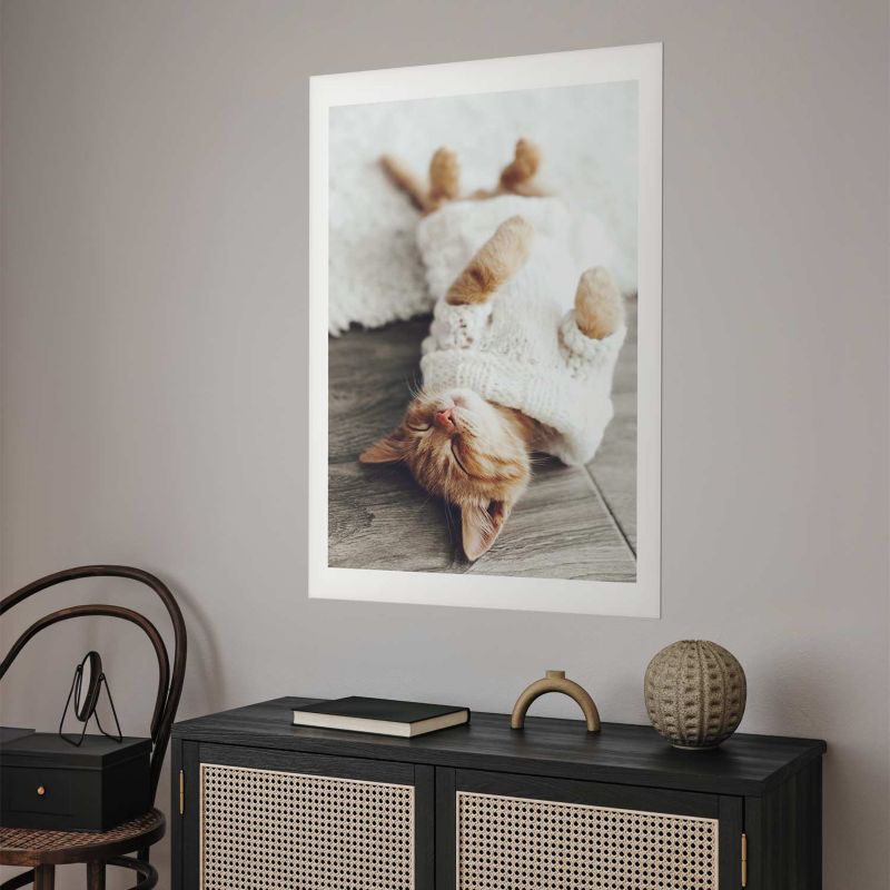 Plakat Artgeist Leniwy kot 60x90 cm bez ramy 1 szt