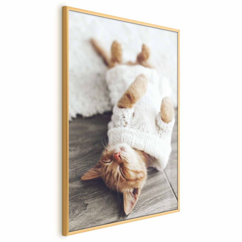 Plakat Artgeist Leniwy kot 60x90 cm z ramą złotą 1 szt