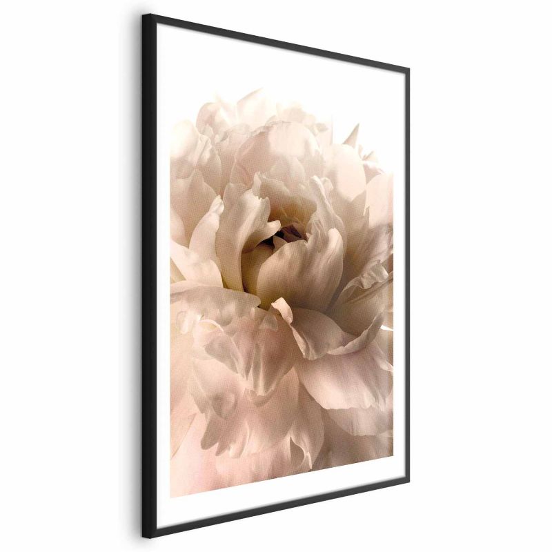 Plakat Artgeist Miękkie płatki 29,7x42 cm z ramą czarną 1 szt