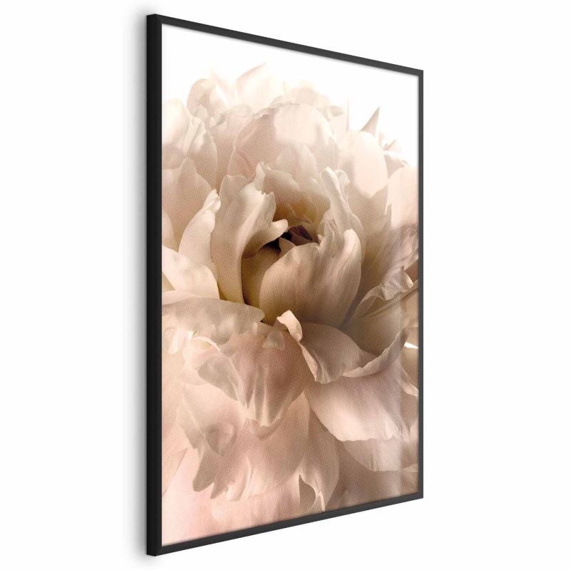 Plakat Artgeist Miękkie płatki 60x90 cm z ramą czarną 1 szt