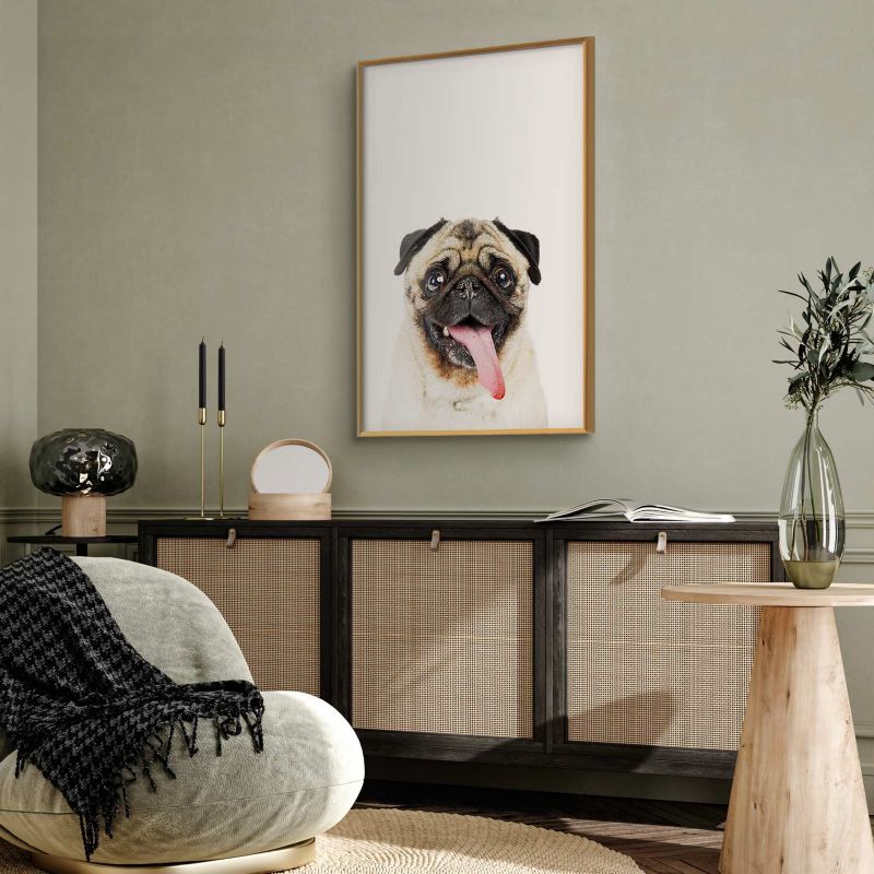 Plakat Artgeist Mops 21x30 cm z ramą złotą 1 szt