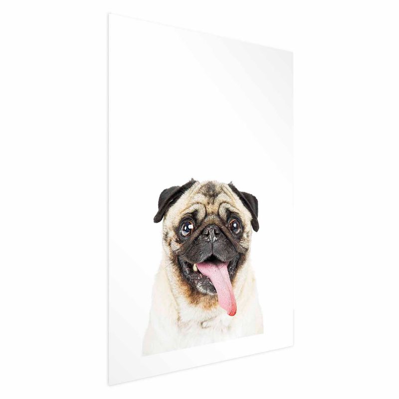 Plakat Artgeist Mops 29,7x42 cm bez ramy 1 szt