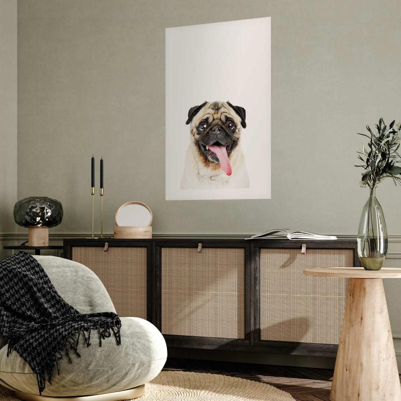 Plakat Artgeist Mops 29,7x42 cm bez ramy 1 szt