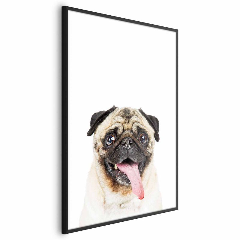 Plakat Artgeist Mops 60x90 cm z ramą czarną 1 szt