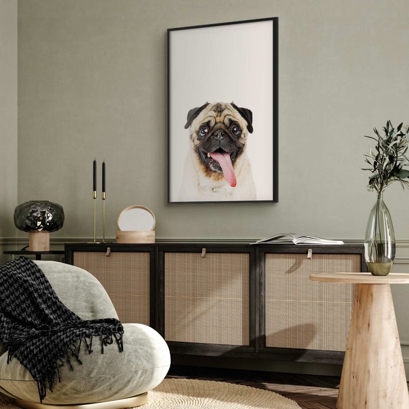 Plakat Artgeist Mops 60x90 cm z ramą czarną 1 szt