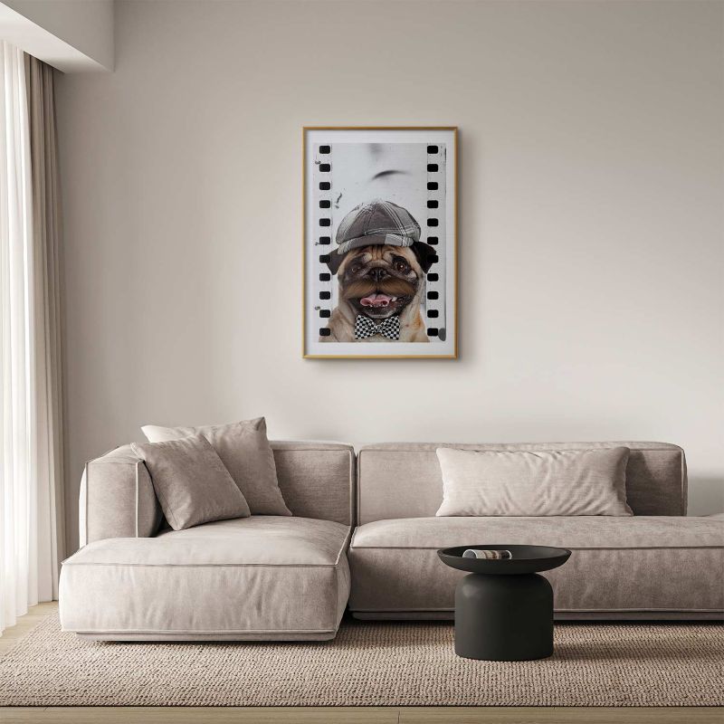 Plakat Artgeist Mops w czapce 29,7x42 cm z ramą złotą 1 szt