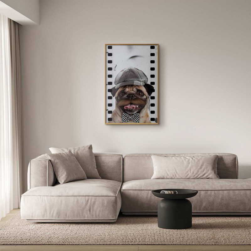 Plakat Artgeist Mops w czapce 40x60 cm z ramą złotą 1 szt